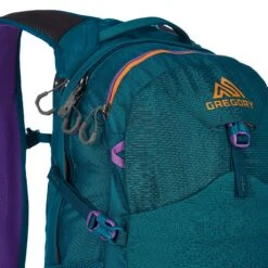 Gregory NANO 20 PLUS Unisex - Tagesrucksack -Globetrotter Geschaft 5638018822 g nano 20 plus gregory 24